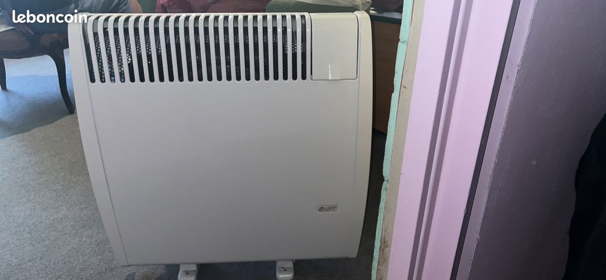 Radiateur à gaz de cheminée (image 1)