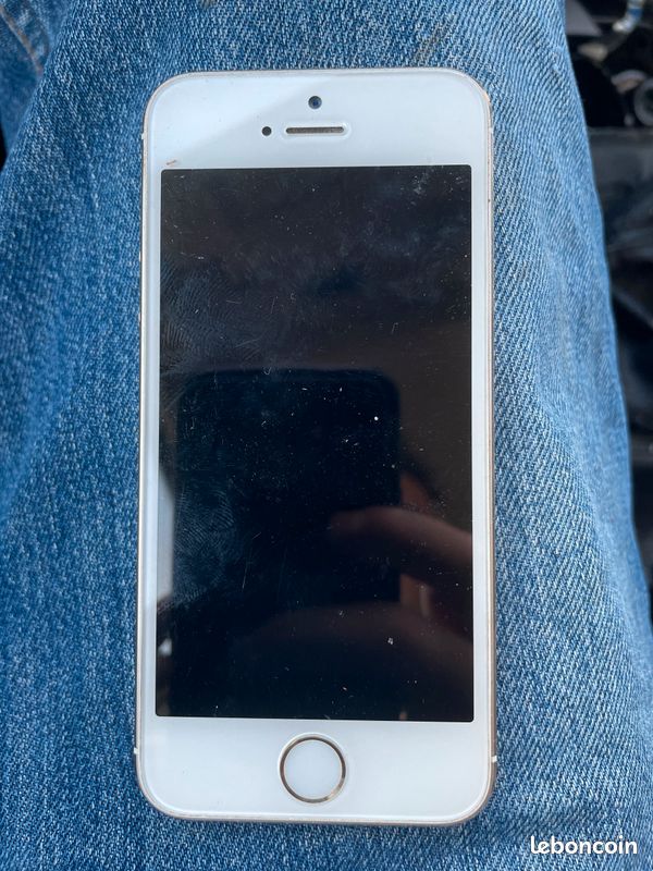 Apple iPhone 5s (image 1)