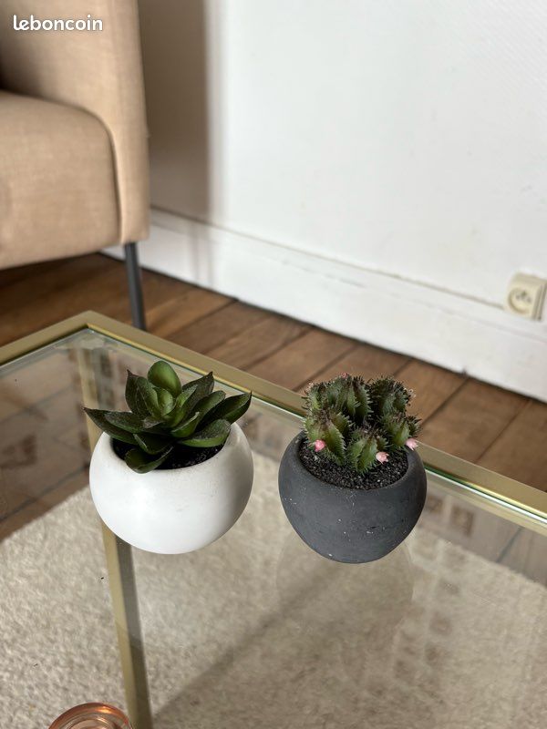 Faux cactus (image 1)