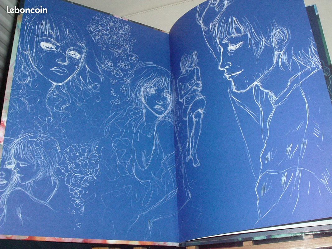 BD Entre deux Eaux (image 3)