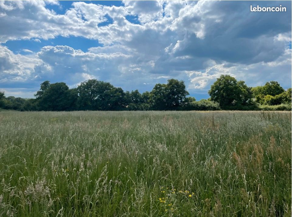 Terrain 364 m² · à Sablé-sur-Sarthe · 40 100 €