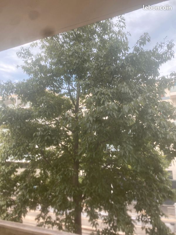Appartement 1 pièce 12 m² · à Nice · 12 m² · 650 €/mois