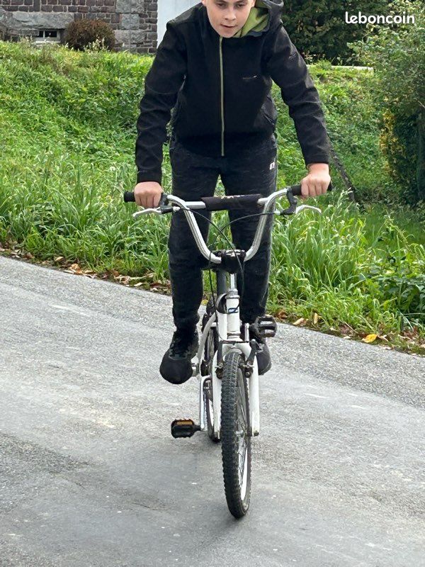Vélo bmx (image 3)