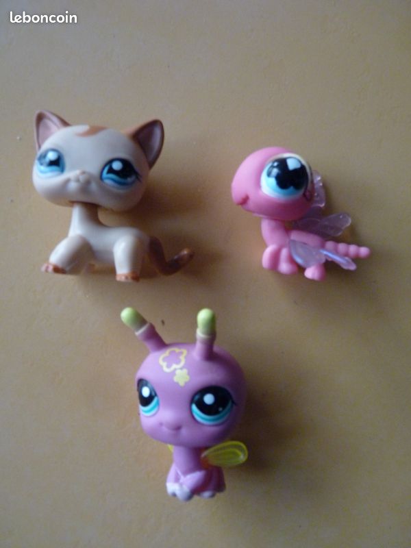 Luciole Libellule Chat petshop (image 1)