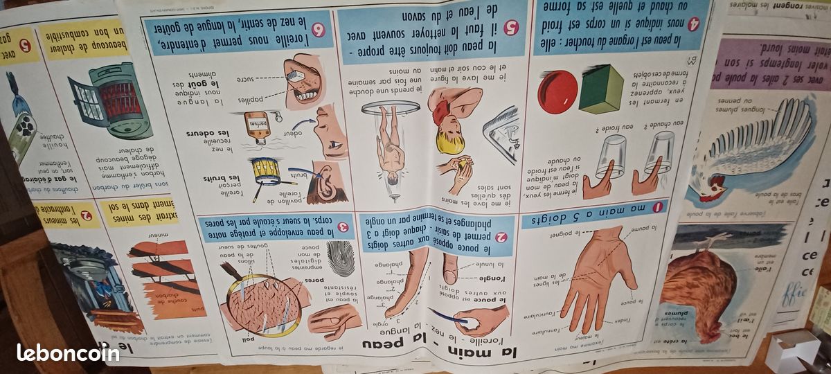 Ancienne affiche scolaire (image 2)