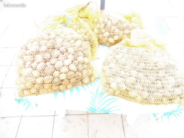NOIX fraiches (image 4)