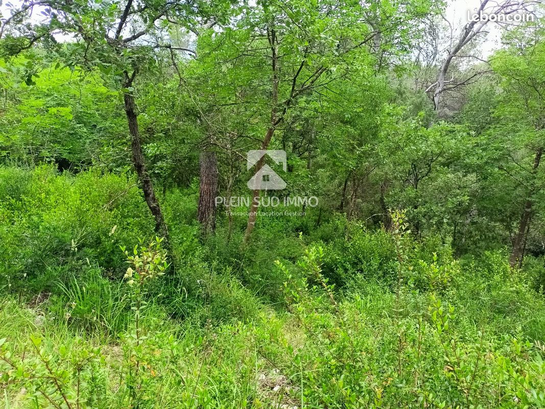 Terrain Roquefort-les-Pins · 49 000 €