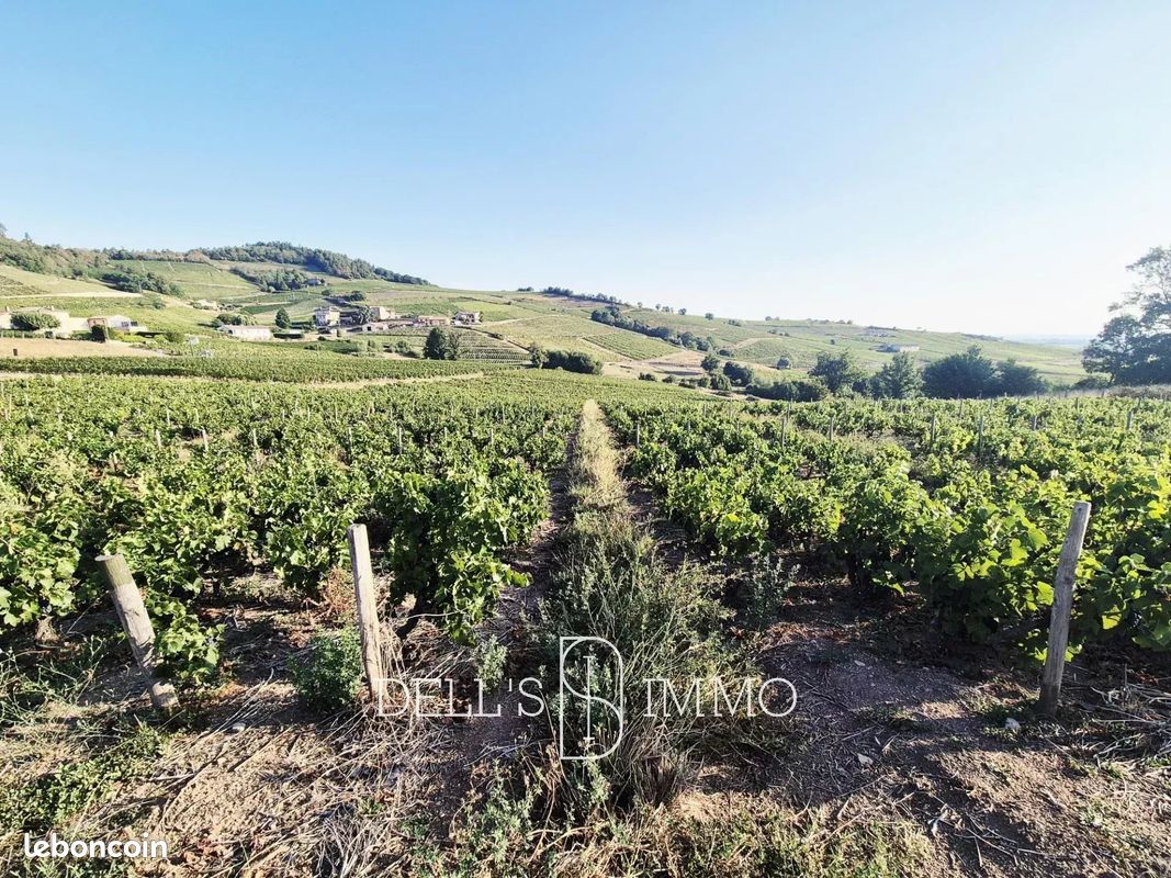 Terrain 10735 m² · à Fleurie · 10 735 m² · 85 000 €