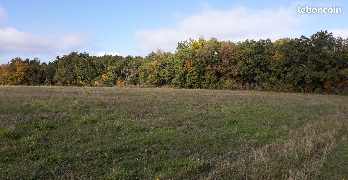 Forêt de chênes · à Beauville · 21 000 €