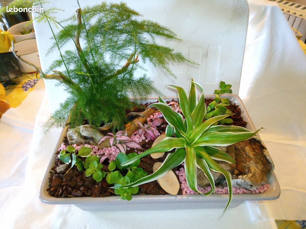 Mini jardin (image 1)