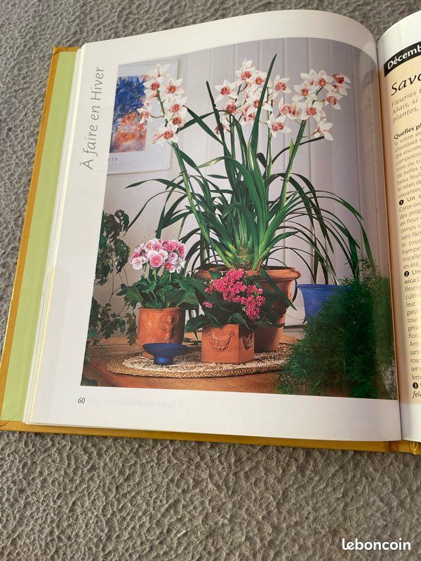 Livre: les plantes d’intérieur faciles (image 3)