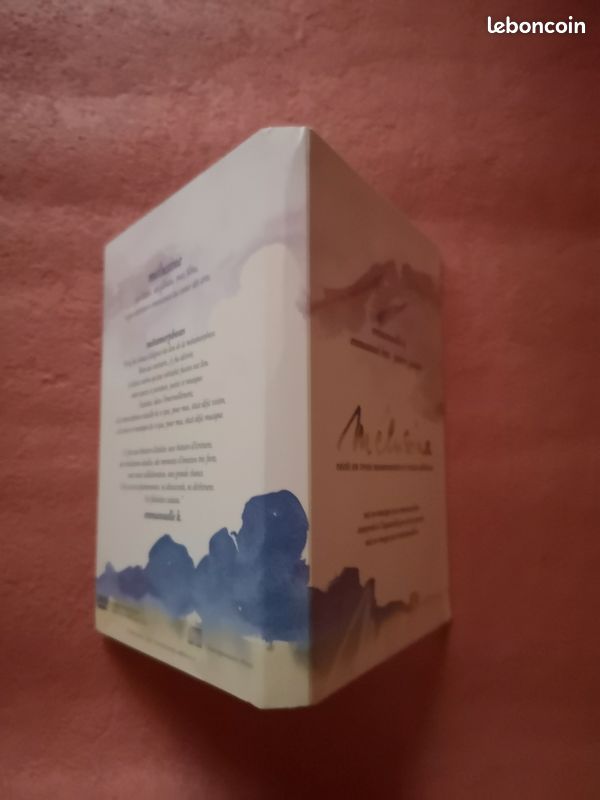 Coffret 2 DVD : MÉLUSINE récit en 3 mouvements et 13 tableaux (image 3)