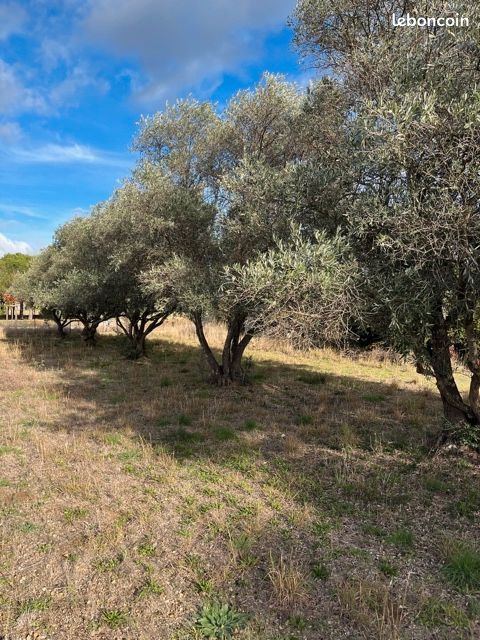 Terrain viabilise de 447 m2 a lezignan la cebe · à Lézignan-la-Cèbe · 94 000 €