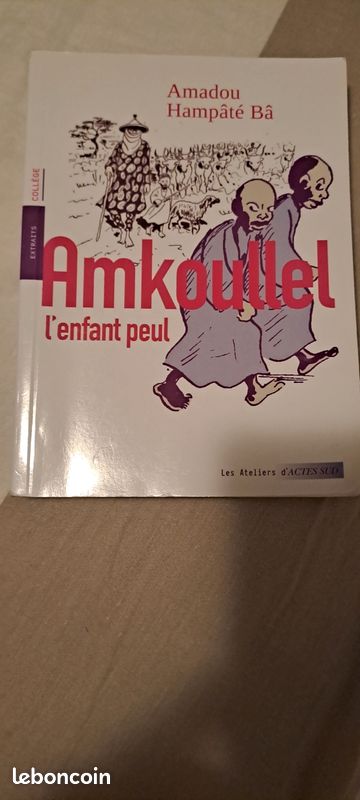 Livre Amkoullel (image 1)
