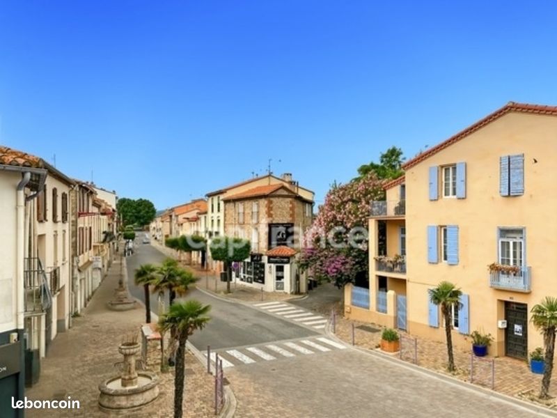 Immeuble 10 pièces 264 m² · à Saint-Génis-des-Fontaines · 264 m² · 690 000 €