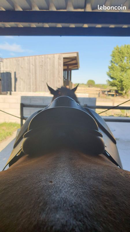 Selle cheval neuve Éric Thomas (image 3)