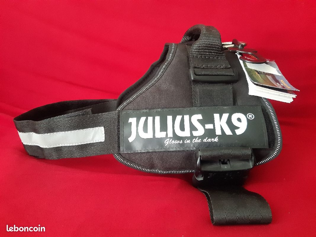 Harnais pour chien Julius K9 - taille 2 (image 2)