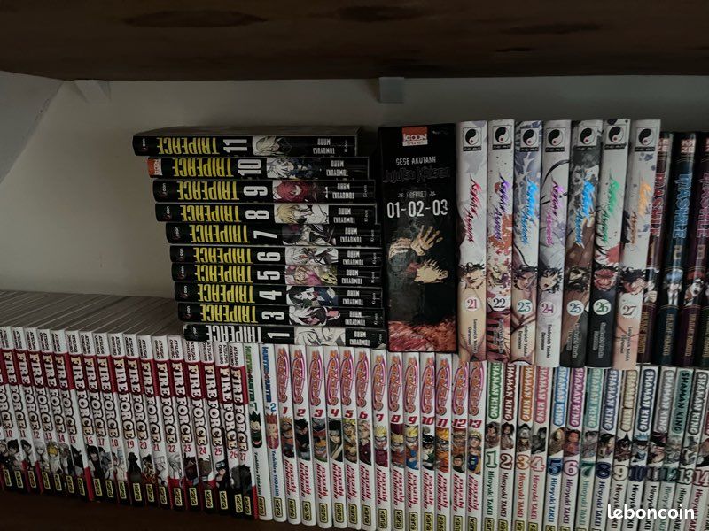 Manga 5  le tome (image 12)
