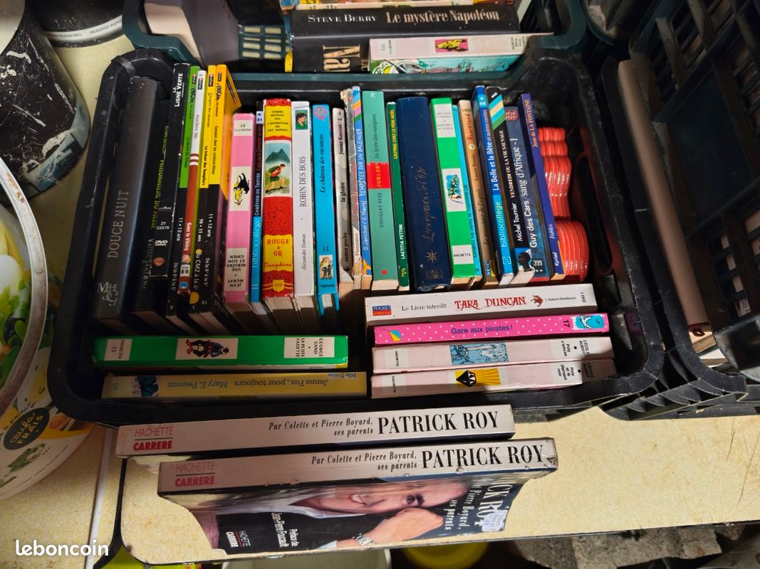 Lot de livres de toute sorte (image 1)