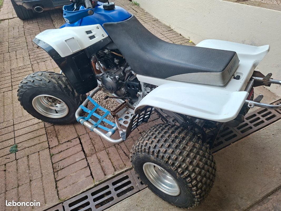 Moteur 350 warrior (image 3)