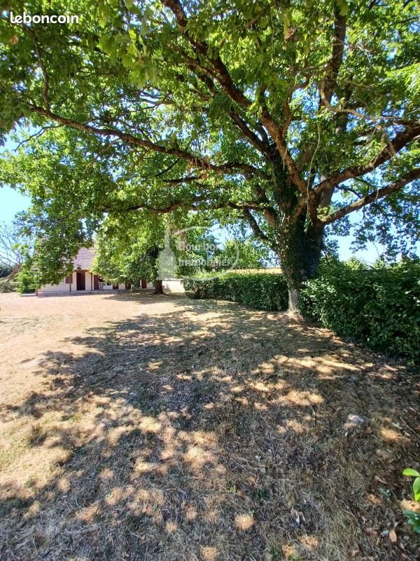 Longère 5 pièces 81 m² (image 9)