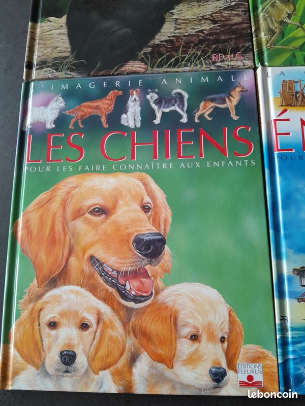 LOT de 4 grandes imagerie Fleurus enfant 6-10 ans (FA57) (image 4)