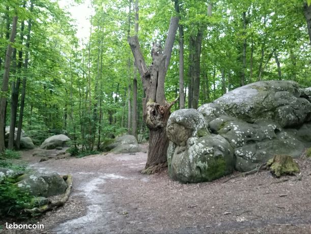 Terrain de loisir
