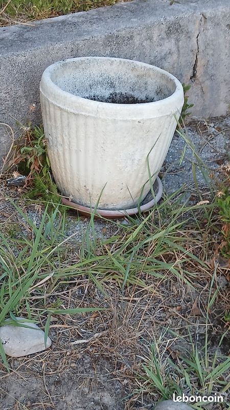 Pots de fleur vide ou avec plantes (image 5)