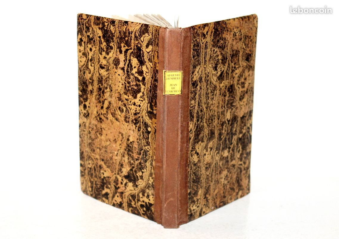 JEAN LE DENICHEUR OU MISERE ET RICHESSE par A. HUMBERT, 3e EDITION 1880 HACHETTE - LIVRE ANCIEN (image 1)