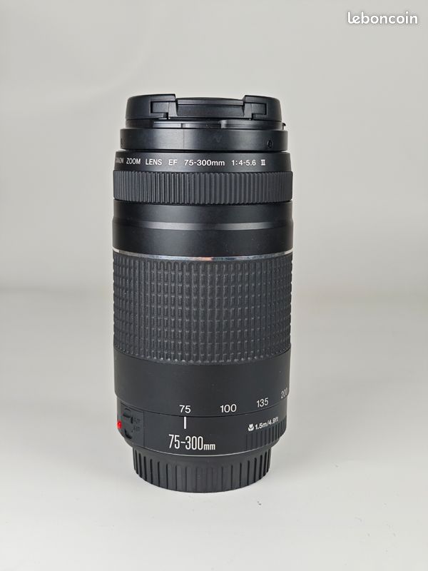 Objectif Zoom Canon EF 75-300mm F/4-5.6 III - VENDUE POUR PIÈCES DÉTACHÉES (ne Fonctionne Pas)