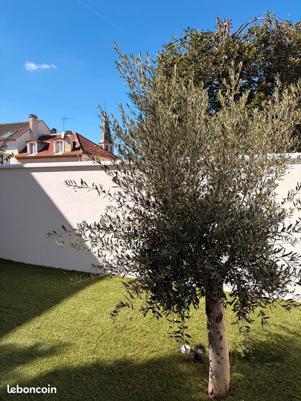 Maison 4 pièces 70 m² · à Rueil-Malmaison · 70 m² · 2 370 €/mois