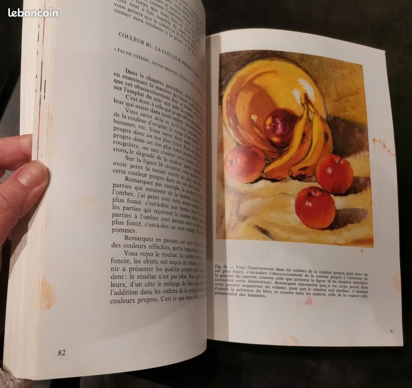 Livre peinture Art "La Couleur et le Peintre" (image 5)