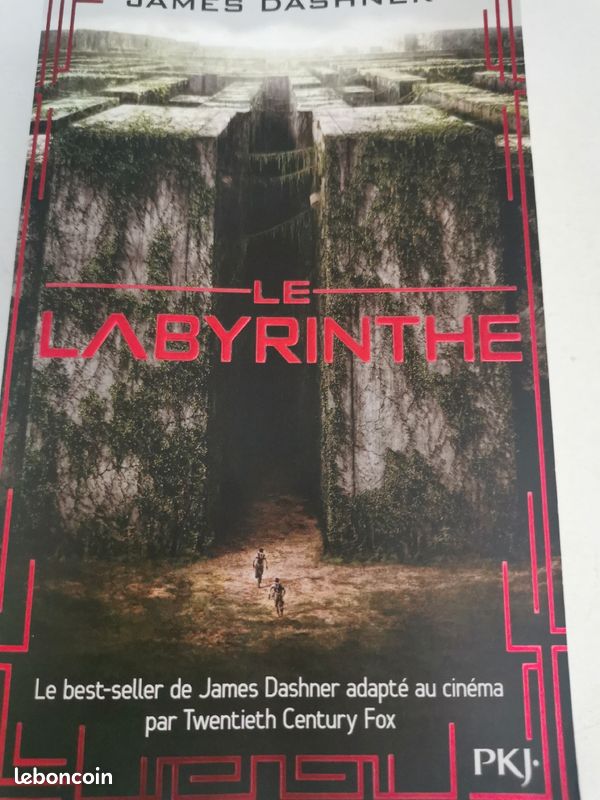 Le labyrinthe (image 2)