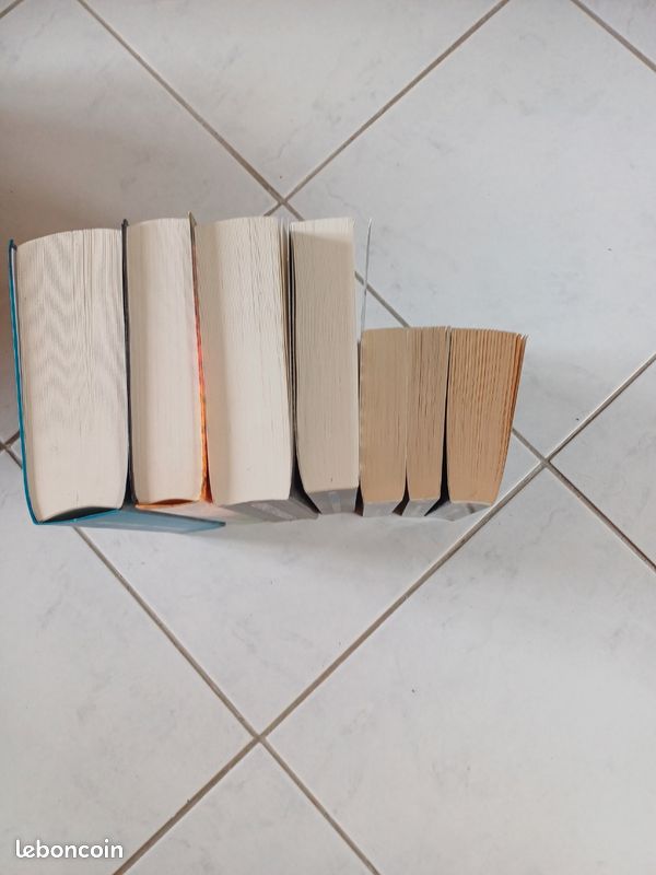 Livres / Romans (image 4)