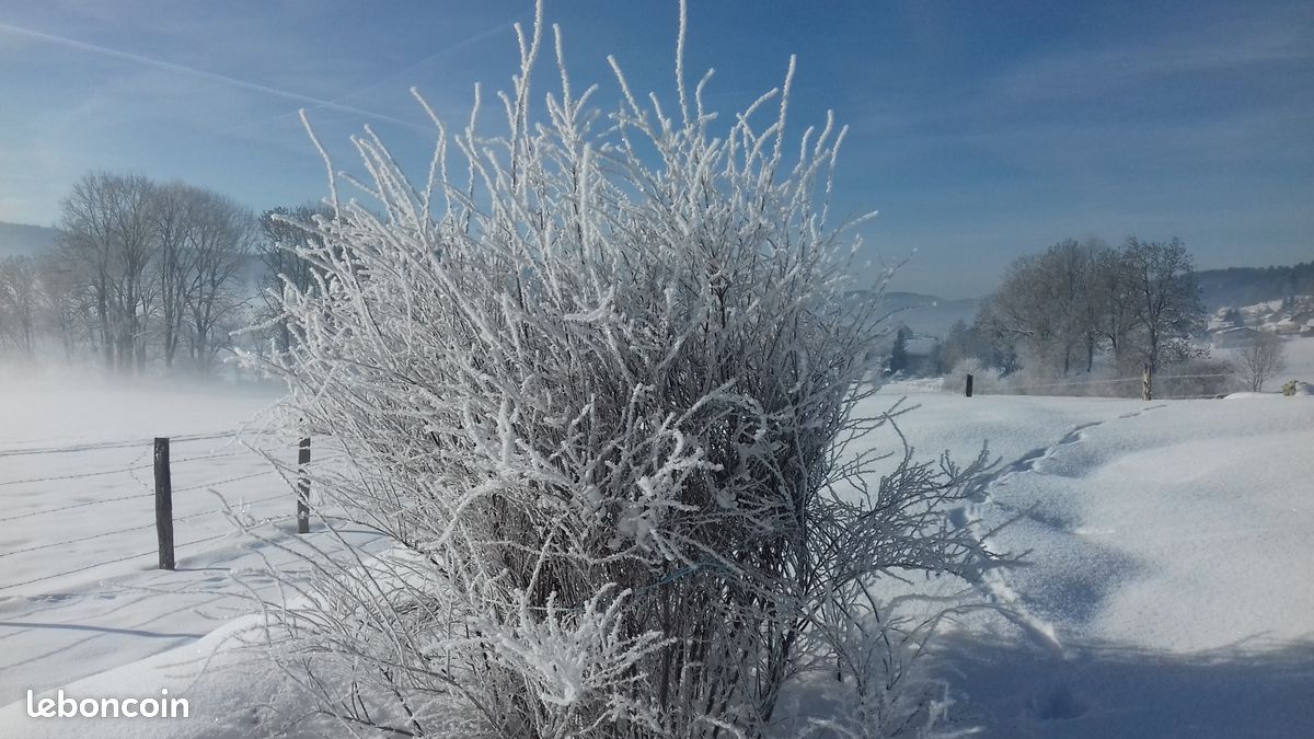 Beau gîte pour 2 à 4 personnes dans le Haut-Doubs, Pays Horloger (image 9)