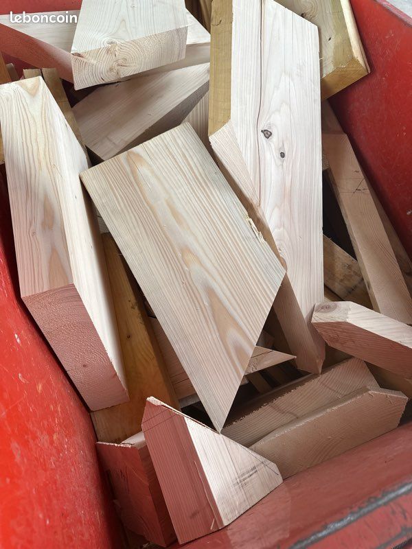 Donne chute de bois (image 2)