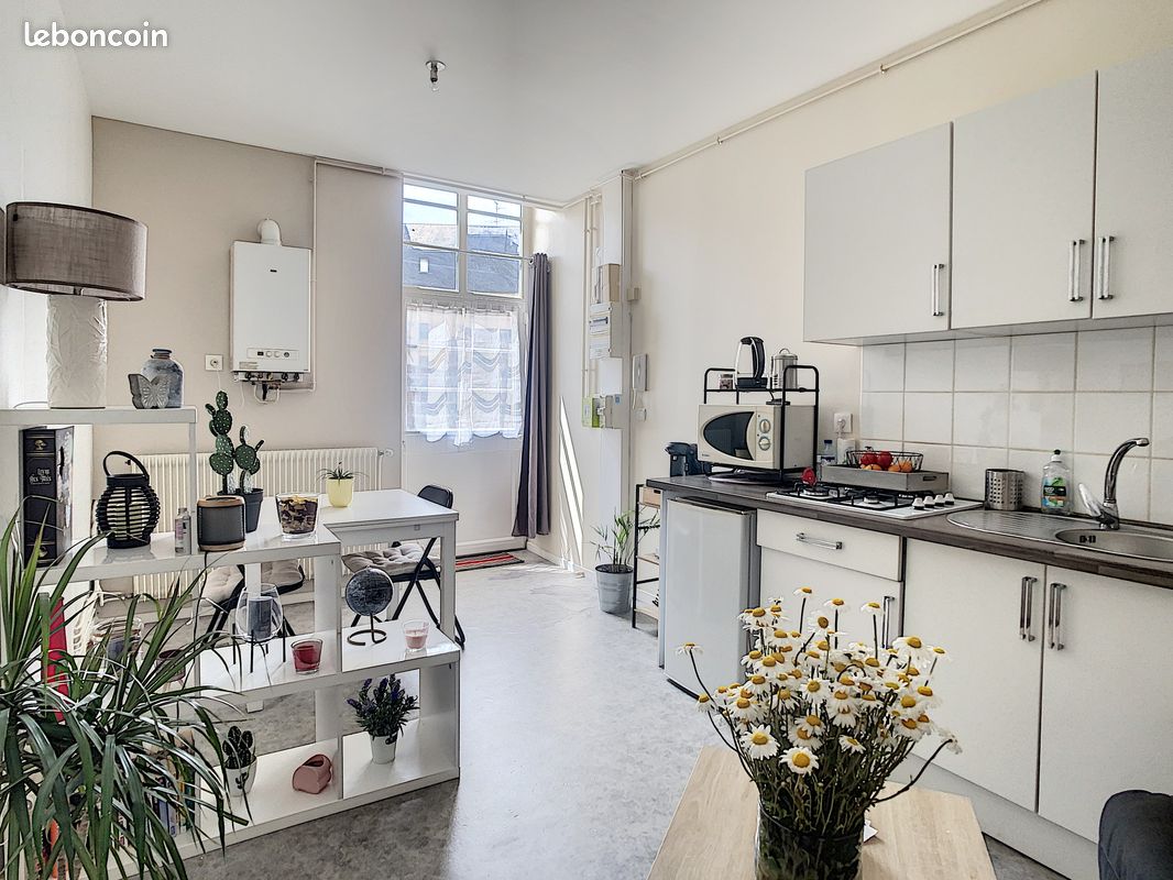 Appartement 2 pièces 38 m² · à Laval · 38 m² · 490 €