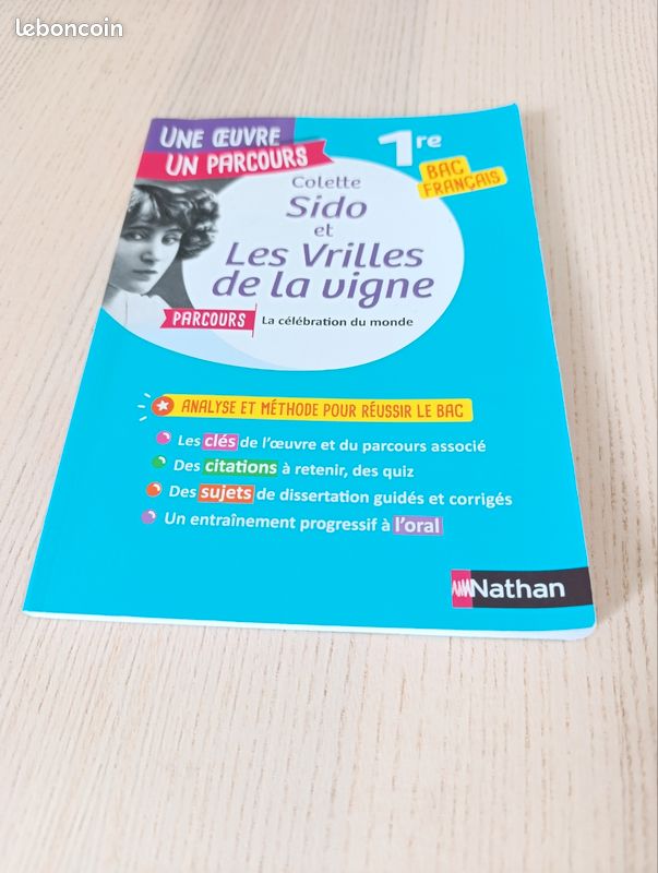 Colette Sido et Les Vrilles de la vigne analyse et méthode (image 2)