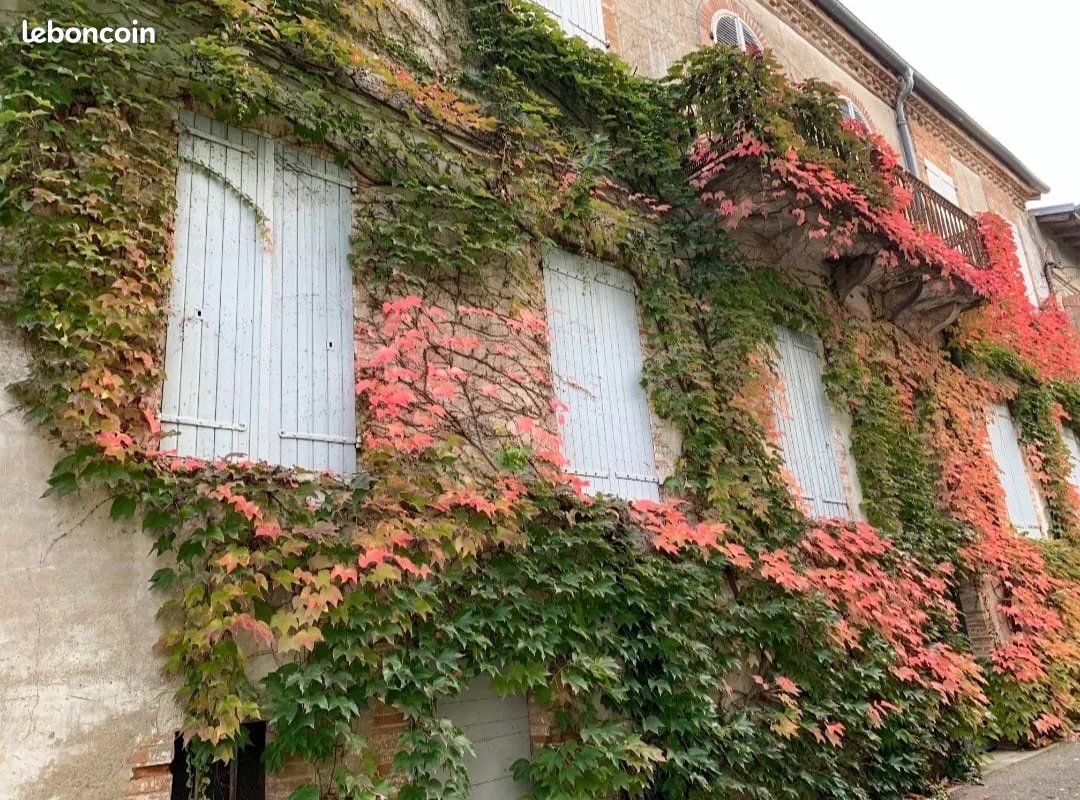 Hotel particulier 13 pièces 429 m² (image 1)