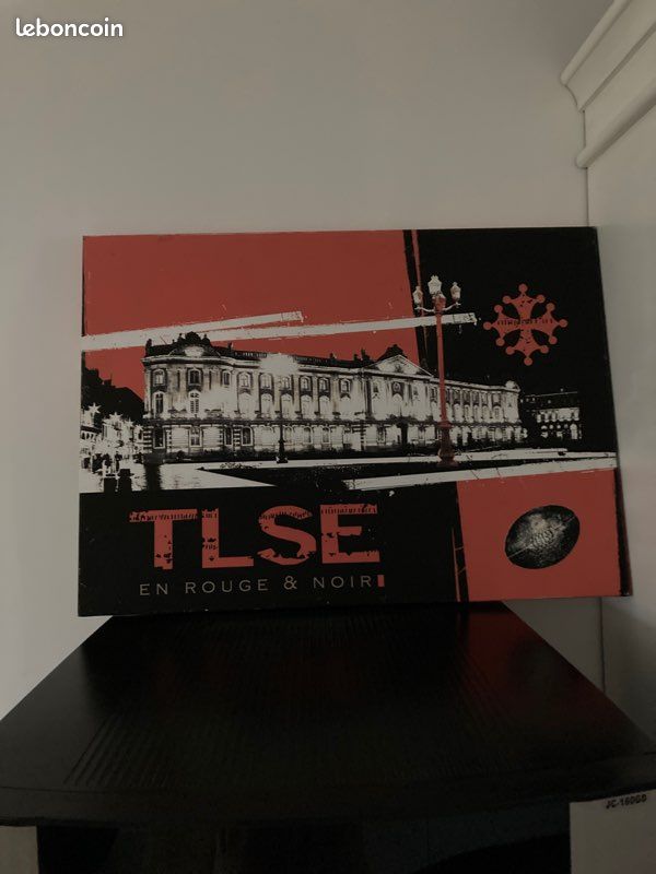 Photo du stade toulousain (image 1)