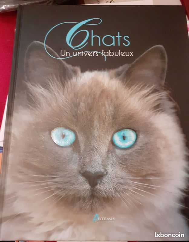 Livre chats (image 1)