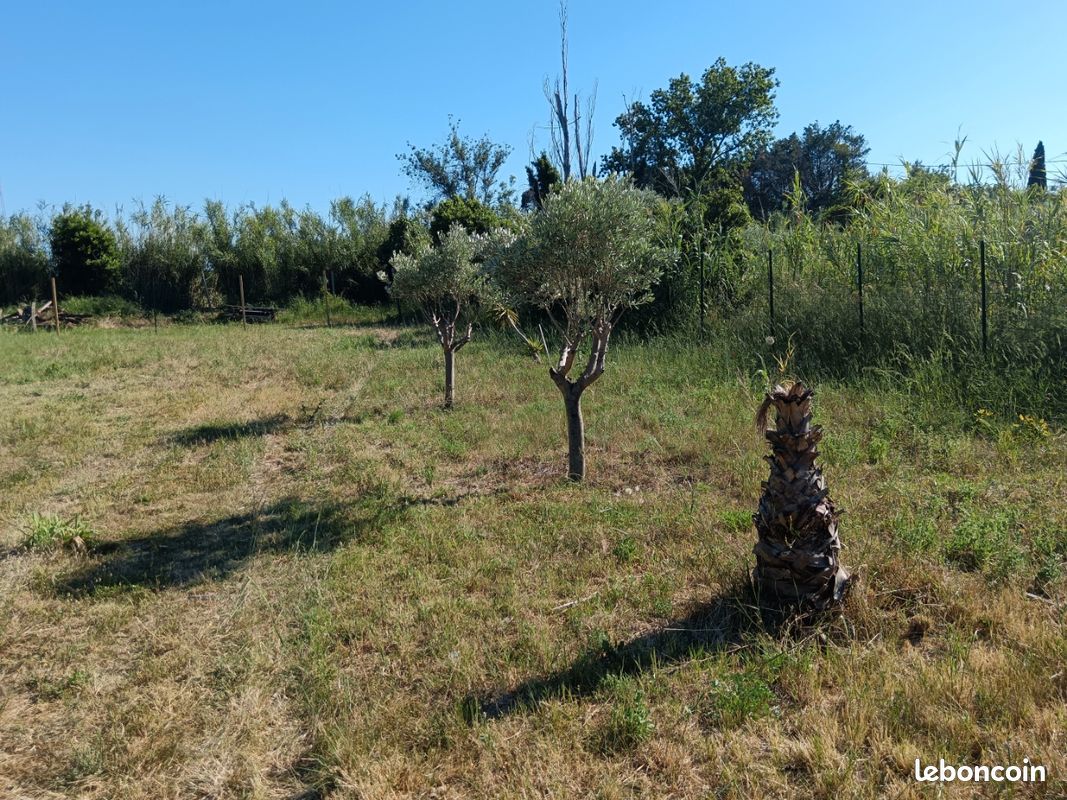 Terrain agricole/loisir · à Rivesaltes · 40 000 €