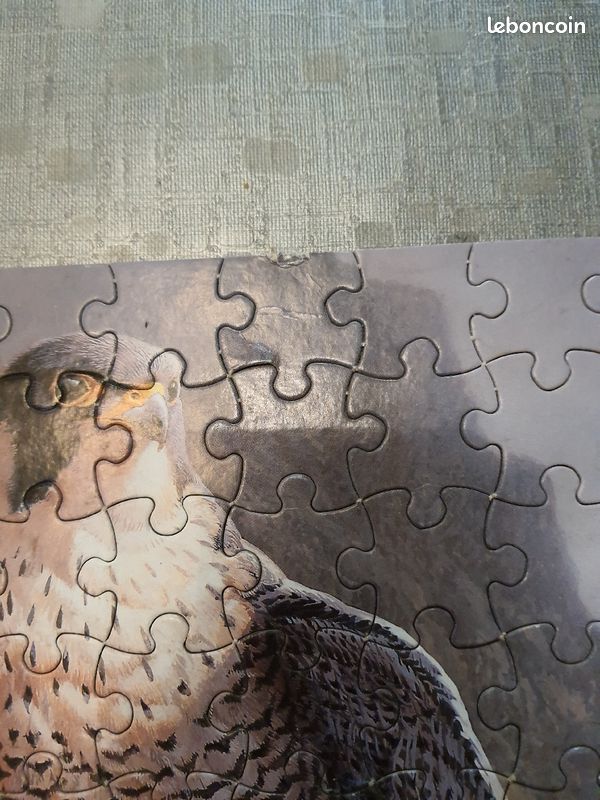 Puzzle 150 pièces rapace (image 3)