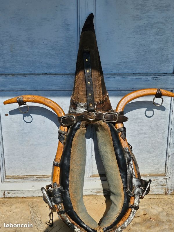 Harnais de cheval ancien - Décoration
