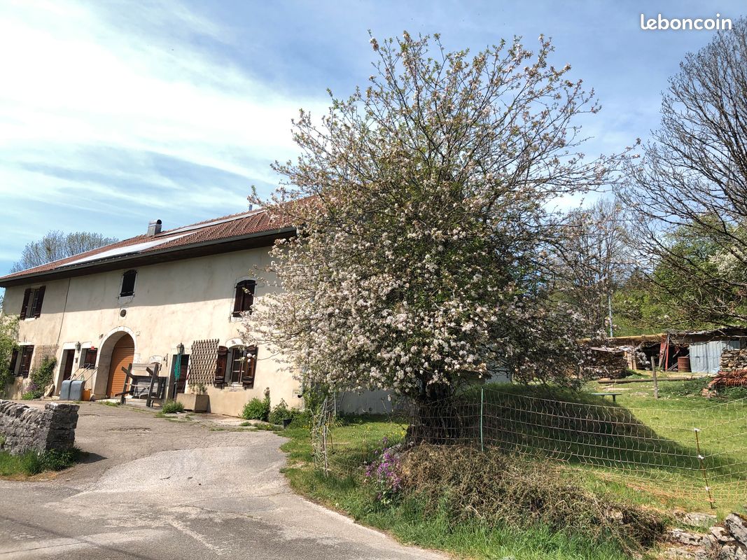Gîte 6 personnes à Prénovel (image 1)