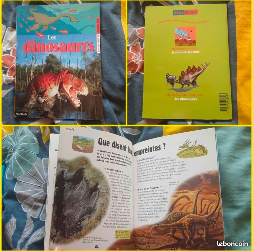 Lot de jouets dinosaures : livres, dinosaures, camion transporteur schleich,... (image 11)