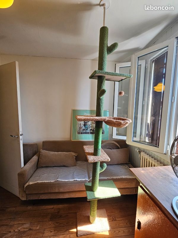 Arbre à chat (image 2)