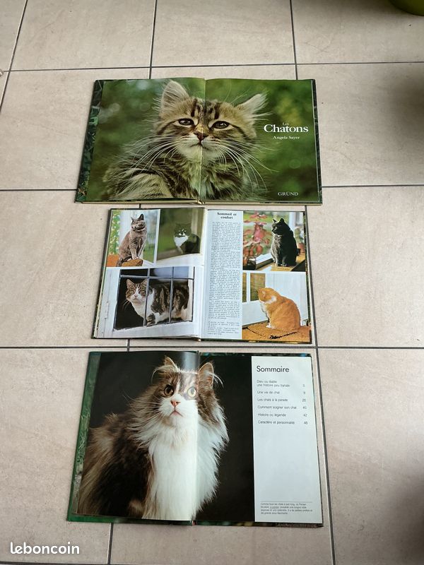 Lot 3 livres photos chats et chatons (image 2)