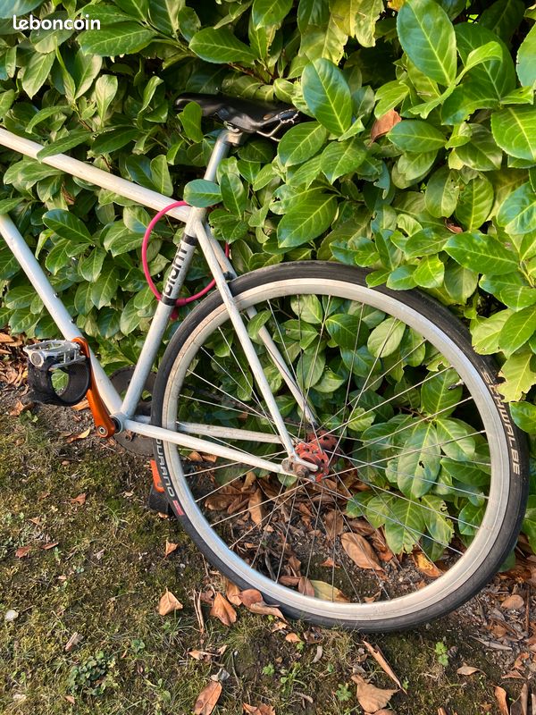 Vélo pignon fixe / fixie – bon état – prêt à rouler (image 3)