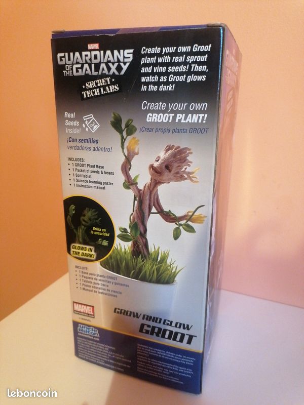 Groot Plant (image 2)